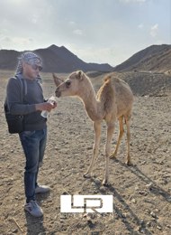 Jeep Safari Special from Hurghada – Discover the Bedouin Village Om Dalfa photo